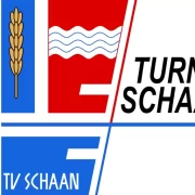 (c) Tvschaan.li